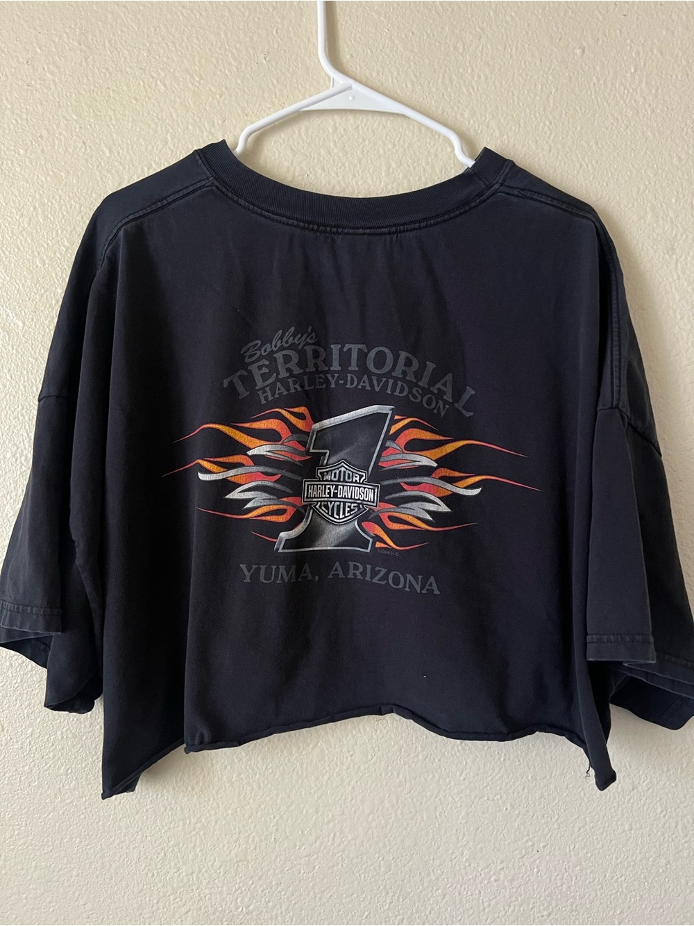 Vintage Harley Davidson Cropped T-Shirt Flame Pinup Graphic Oversized Crop